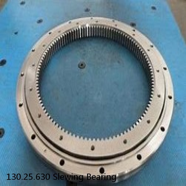 130.25.630 Slewing Bearing