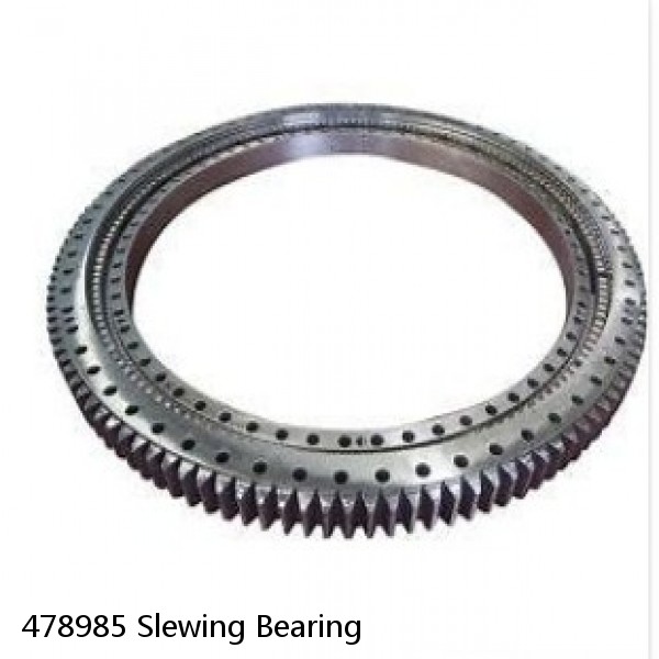 478985 Slewing Bearing