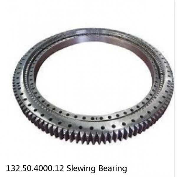 132.50.4000.12 Slewing Bearing