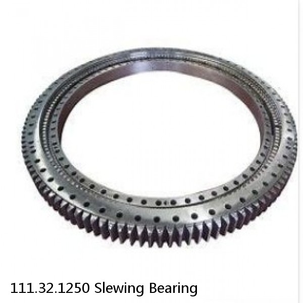 111.32.1250 Slewing Bearing