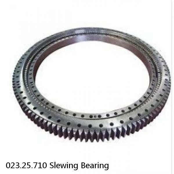023.25.710 Slewing Bearing