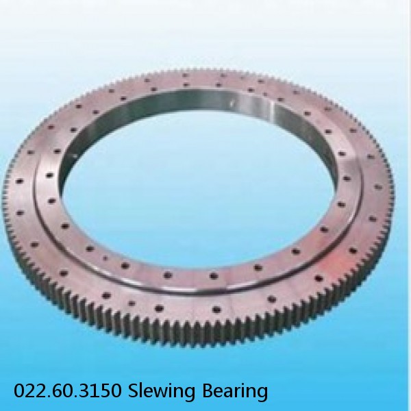 022.60.3150 Slewing Bearing