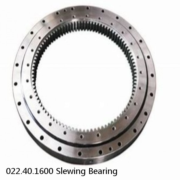 022.40.1600 Slewing Bearing