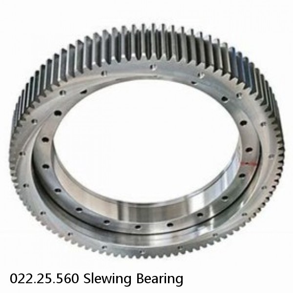 022.25.560 Slewing Bearing