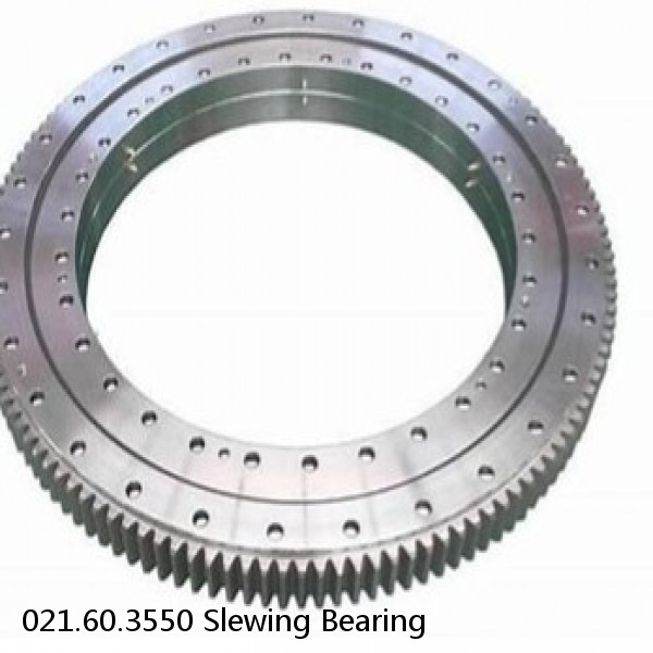 021.60.3550 Slewing Bearing