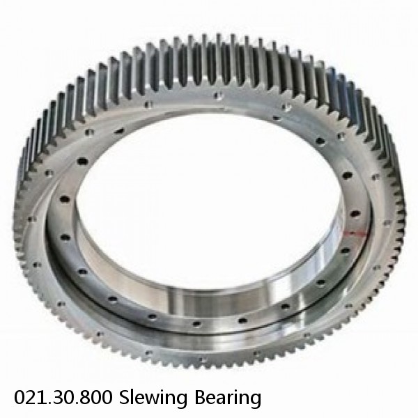 021.30.800 Slewing Bearing