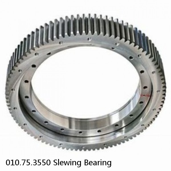 010.75.3550 Slewing Bearing