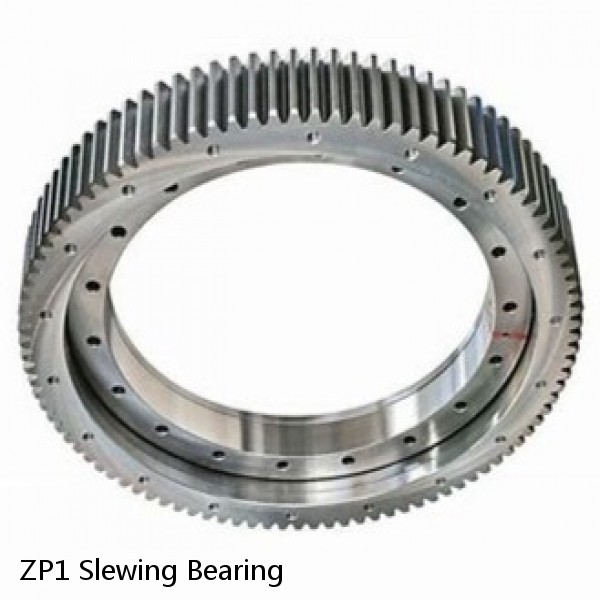 ZP1 Slewing Bearing