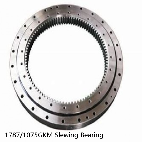 1787/1075GKM Slewing Bearing