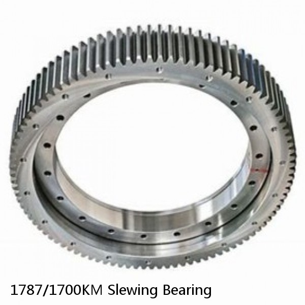 1787/1700KM Slewing Bearing