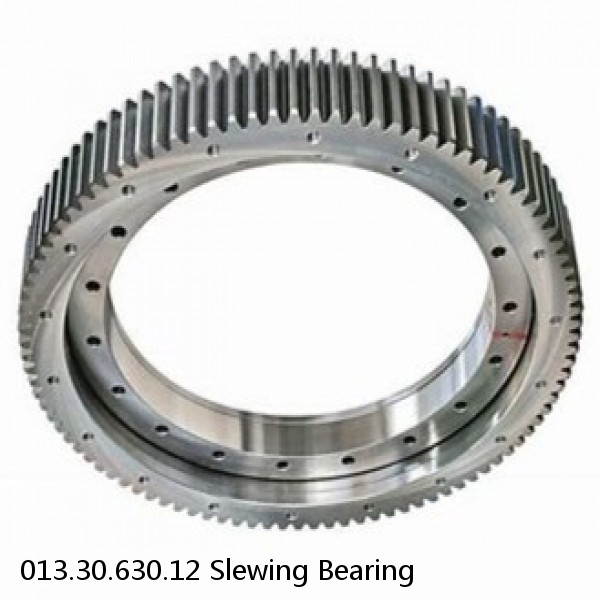 013.30.630.12 Slewing Bearing