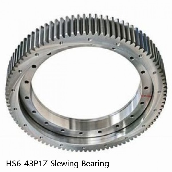 HS6-43P1Z Slewing Bearing