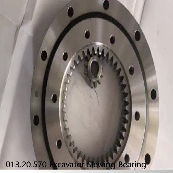 013.20.570 Excavator Slewing Bearing