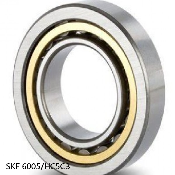 6005/HC5C3 SKF Hybrid Deep Groove Ball Bearings