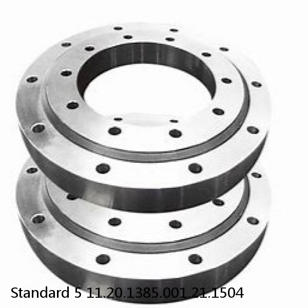 11.20.1385.001.21.1504 Standard 5 Slewing Ring Bearings