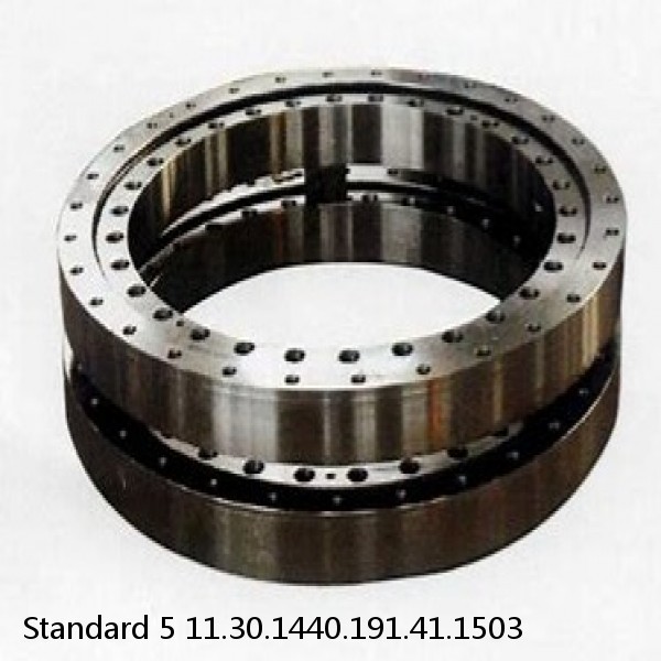 11.30.1440.191.41.1503 Standard 5 Slewing Ring Bearings