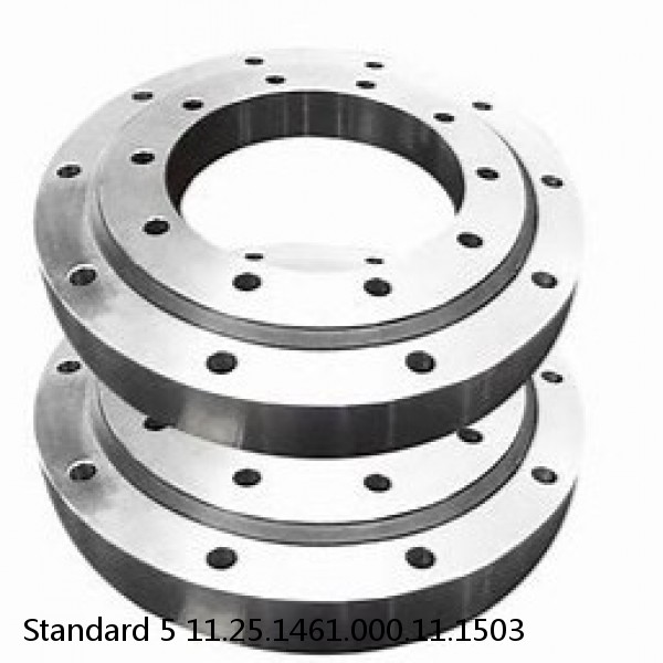 11.25.1461.000.11.1503 Standard 5 Slewing Ring Bearings