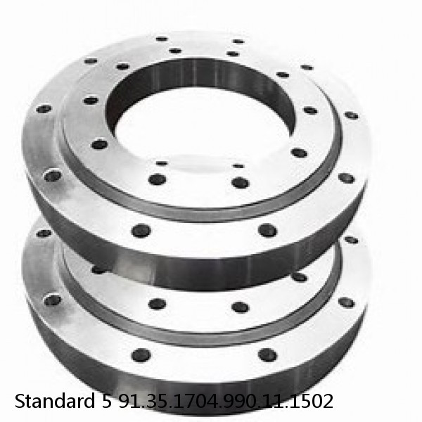 91.35.1704.990.11.1502 Standard 5 Slewing Ring Bearings