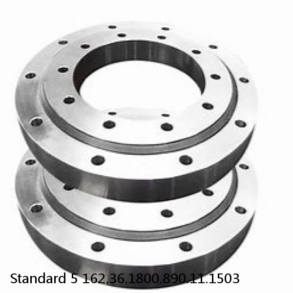 162.36.1800.890.11.1503 Standard 5 Slewing Ring Bearings