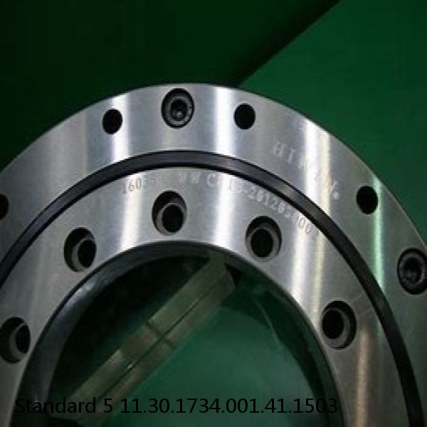 11.30.1734.001.41.1503 Standard 5 Slewing Ring Bearings