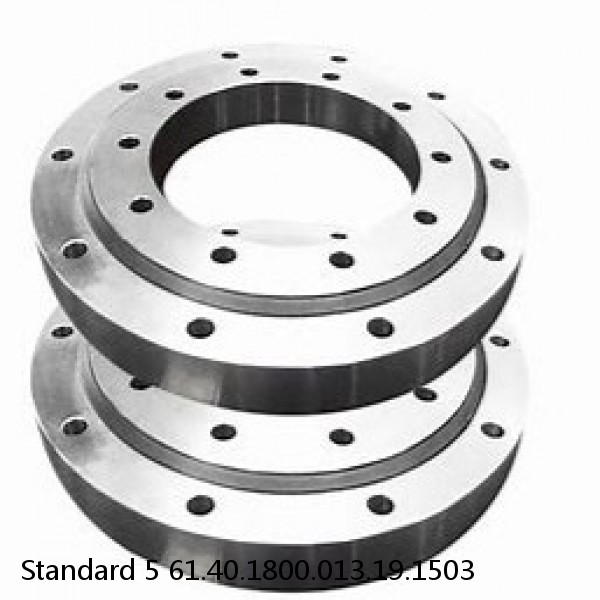 61.40.1800.013.19.1503 Standard 5 Slewing Ring Bearings