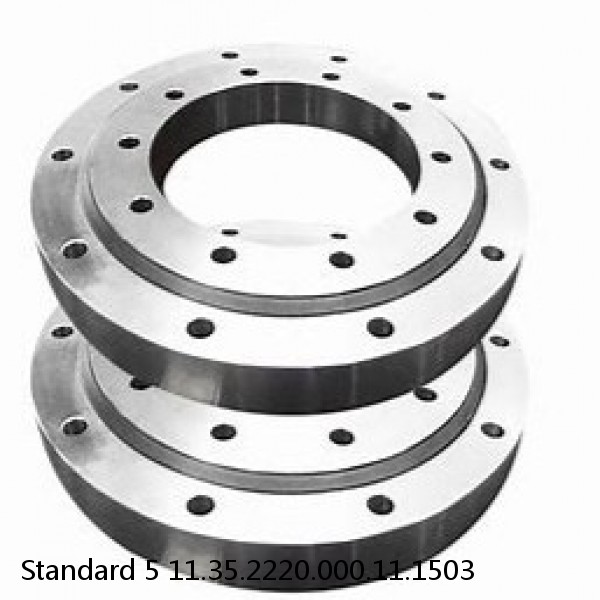 11.35.2220.000.11.1503 Standard 5 Slewing Ring Bearings