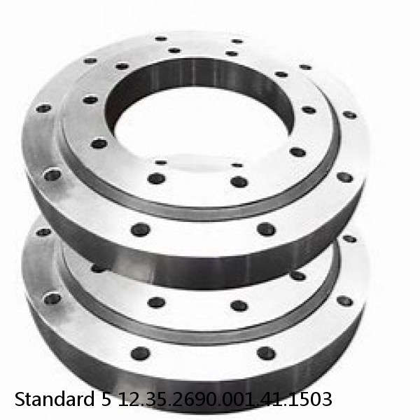 12.35.2690.001.41.1503 Standard 5 Slewing Ring Bearings