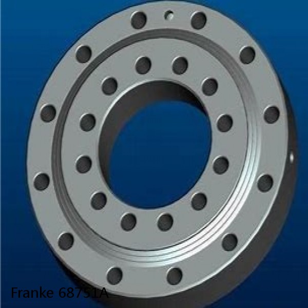 68751A Franke Slewing Ring Bearings