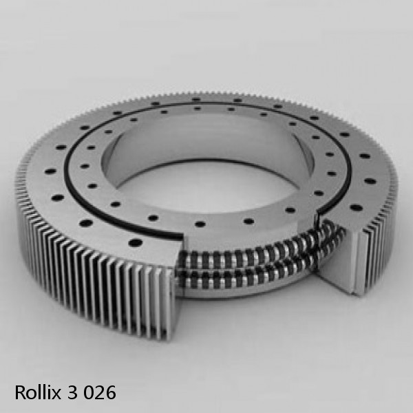 3 026 Rollix Slewing Ring Bearings