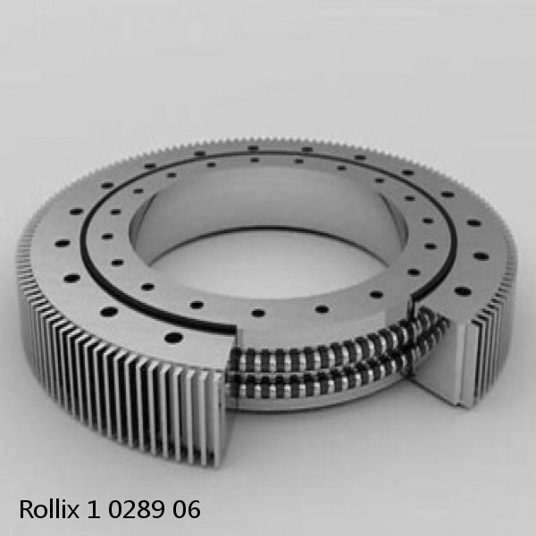 1 0289 06 Rollix Slewing Ring Bearings