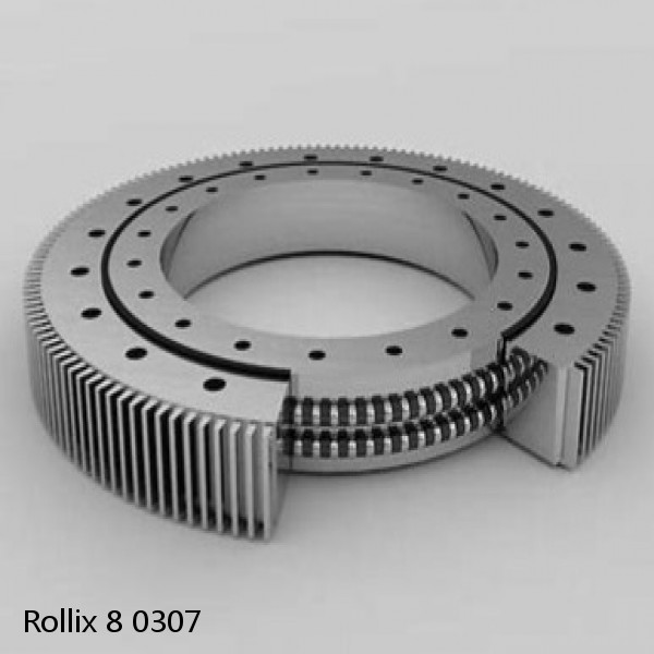 8 0307 Rollix Slewing Ring Bearings