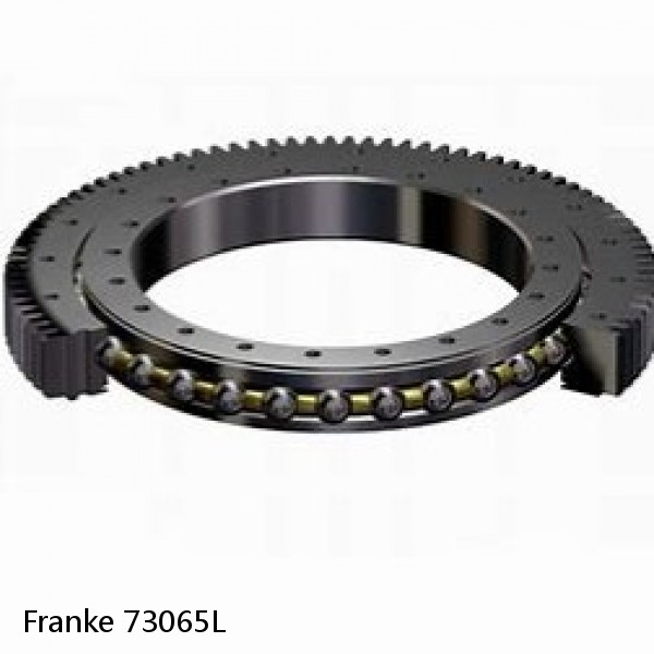 73065L Franke Slewing Ring Bearings