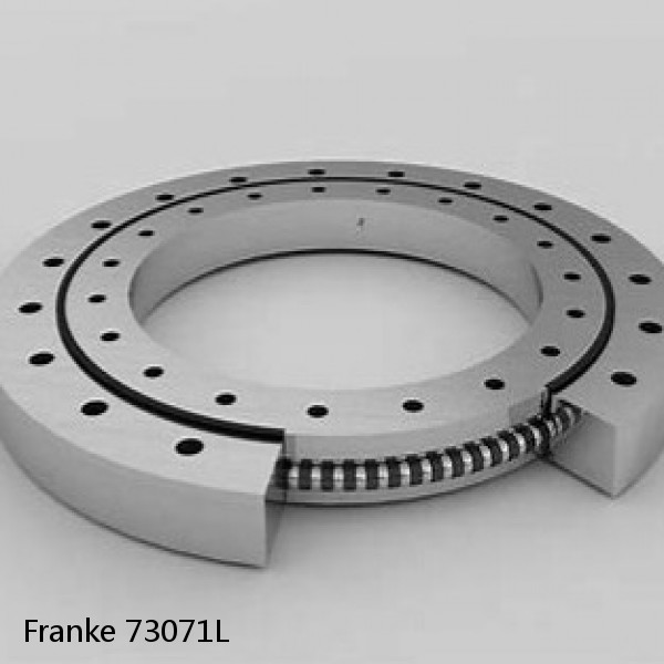 73071L Franke Slewing Ring Bearings