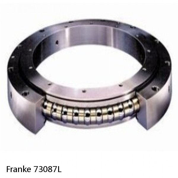 73087L Franke Slewing Ring Bearings