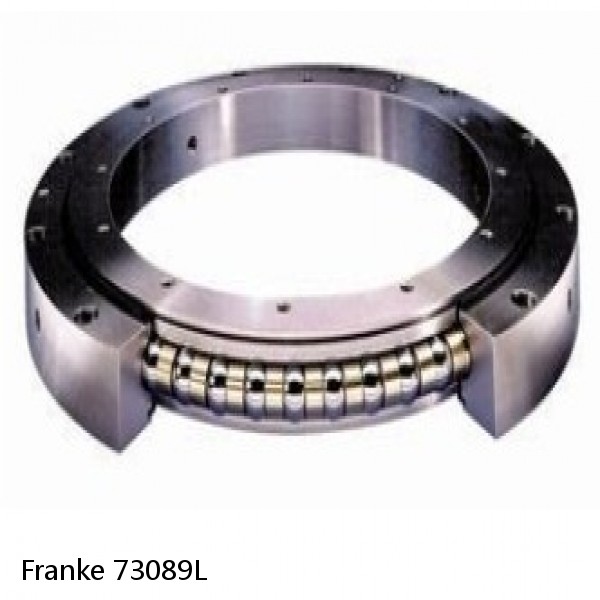 73089L Franke Slewing Ring Bearings